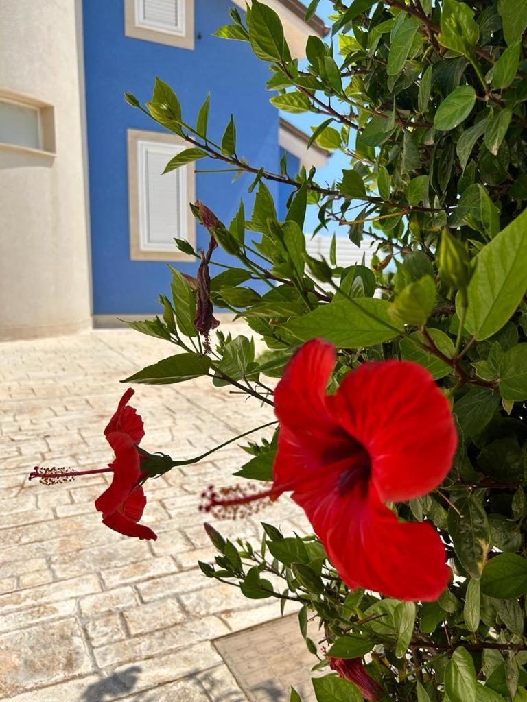 Villa Chiara ปอซซัลโล ภายนอก รูปภาพ